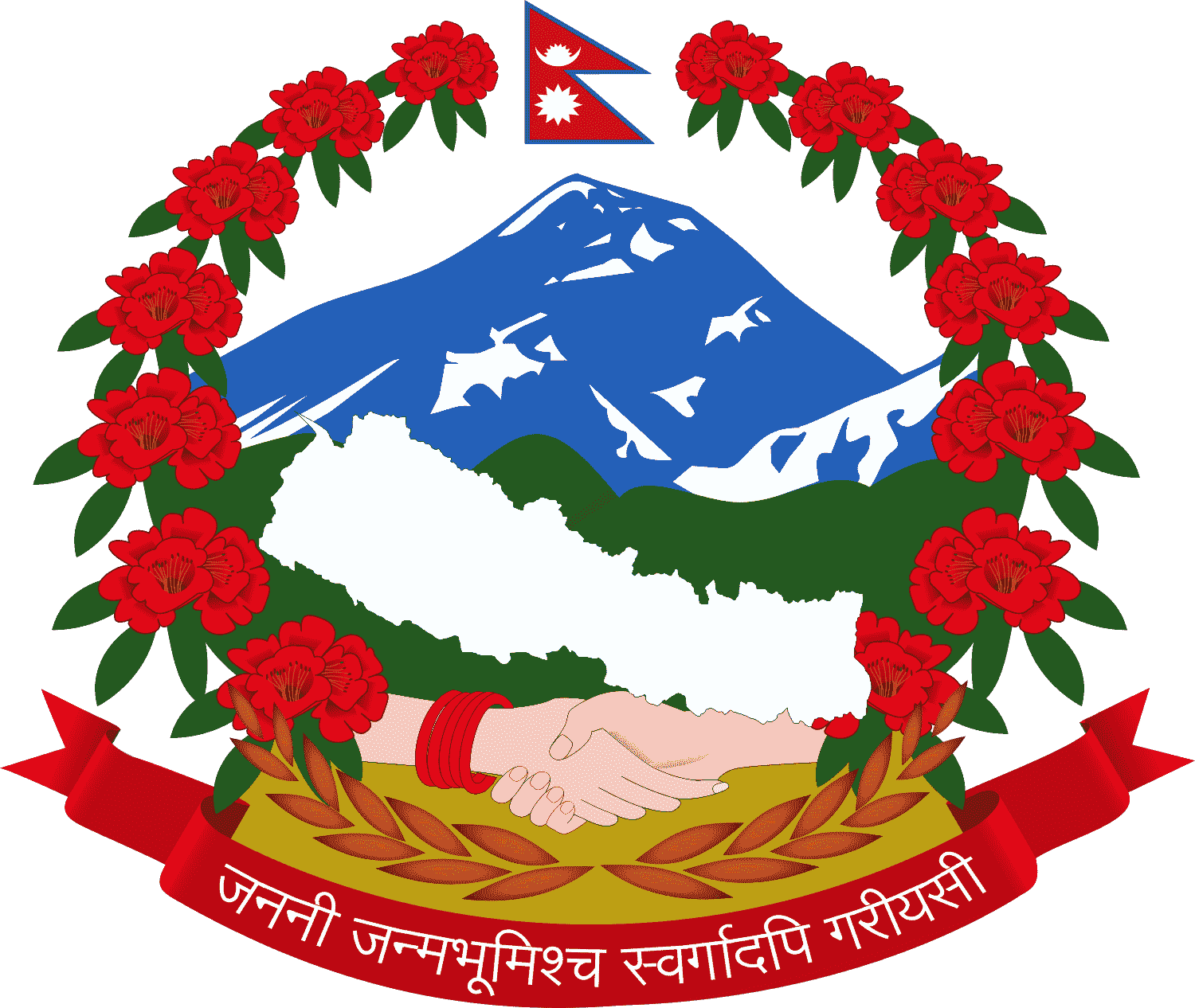 Chief District Officer